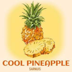 Обложка для Sarnuis - Cool pineapple