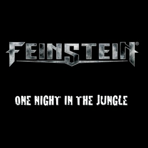 Обложка для Feinstein - Invincible
