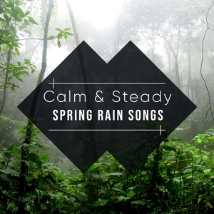 Обложка для Sample Rain Library, Nature Recordings, Ambientalism - Natural Rain for Deep Sleep