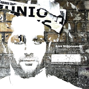 Обложка для Alex Niggemann - I Don't Care (Salvatore Freda Remix)