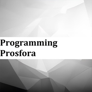 Обложка для Myata Ann - Programming Prosfora