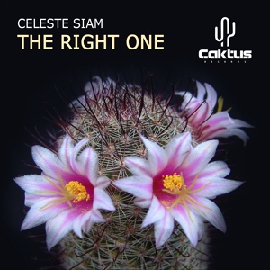 Обложка для Celeste Siam - The Right One