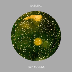 Обложка для Sleep Sounds of Nature - Rain Sounds - Chill Out