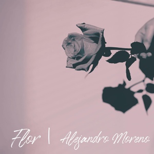 Обложка для Alejandro Moreno - Flor