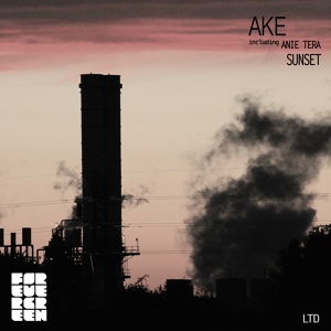 Обложка для Ake - Steel Sunset