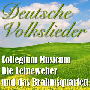 Обложка для Collegium Musicum - O du schöner Rosengarten