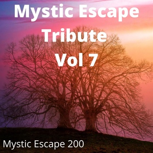 Обложка для Mystic Escape 200 - Don't Be Shy (Tribute Version Originally Performed By Tiësto and Karol G)