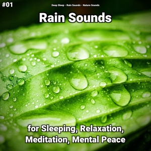 Обложка для Deep Sleep, Rain Sounds, Nature Sounds - Rain Sounds to Put Your Baby to Sleep
