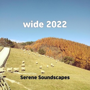 Обложка для Serene Soundscapes - wide 2022