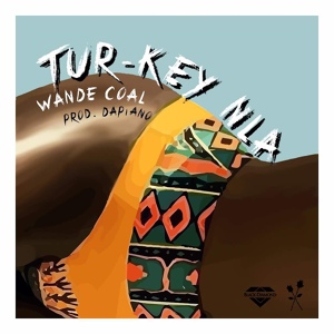 Обложка для Wande Coal - Tur-Key Nla