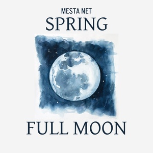 Обложка для MESTA NET - First equinox