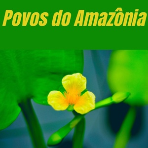 Обложка для canhoto e os chegados - Povos do Amazonia