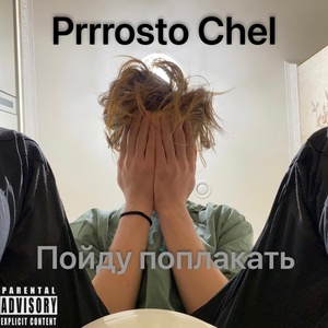 Обложка для Prrrosto chel - Пойду поплакать