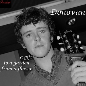 Обложка для Donovan - Mad John's Escape