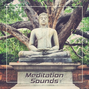 Обложка для Chakra Healing Music Academy - Zen