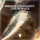 Обложка для Pigeon Community - Lost in Space