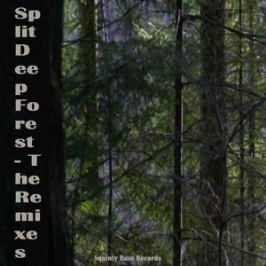 Обложка для Split - Deep Forest