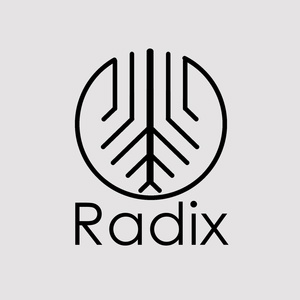Обложка для SWARA - RADIX