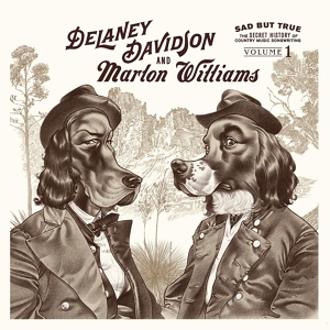Обложка для Delaney Davidson, Marlon Williams - Please Dont Let Me Love You