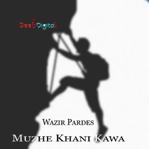 Обложка для Wazir Pardes - Muzhe Khani Kawa