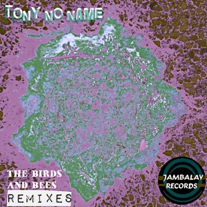 Обложка для Tony No Name - The Birds and Bees