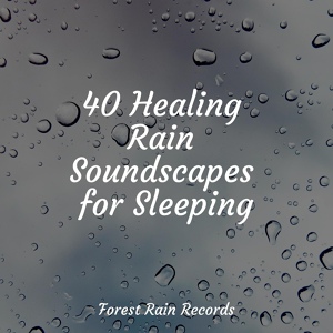 Обложка для Calm Down, Wellness, Sleep Rain - Woods, Dawn, Birds