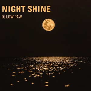 Обложка для Dj Low Paw - Night Shine
