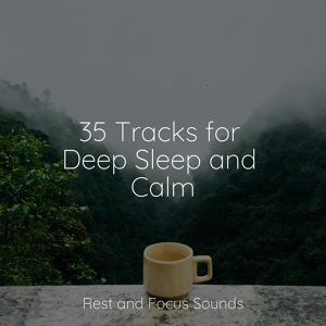 Обложка для Alpha Waves, Yoga Workout Music, Guided Meditation Music Zone - Acacia Pathway