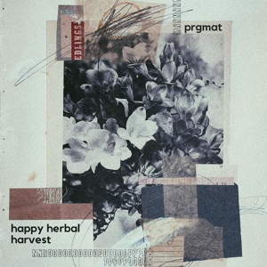 Обложка для PRGMAT feat. DanucD - Happy Herbal Harvest