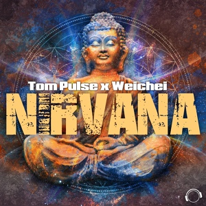 Обложка для Tom Pulse, Weichei - Nirvana