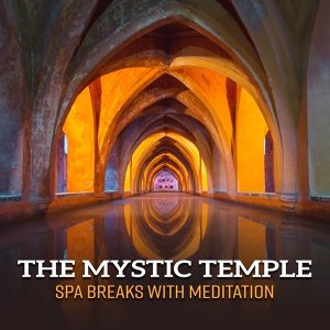 Обложка для Meditation Spa Music Ensemble - Zen Moods to Relax