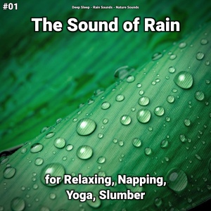 Обложка для Deep Sleep, Rain Sounds, Nature Sounds - Nature Sounds for Relaxation