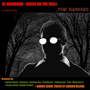 Обложка для DJ Hammond - Headz On the Wall