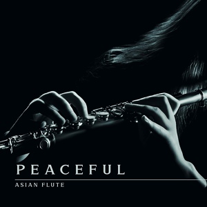 Обложка для Flute Music Ensemble - Soothing Erhu
