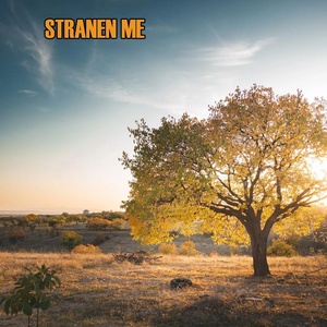 Обложка для Stranen Me - Shexani