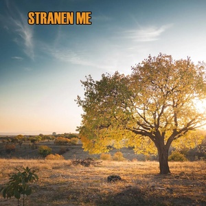 Обложка для Stranen Me - Kurd Arabic