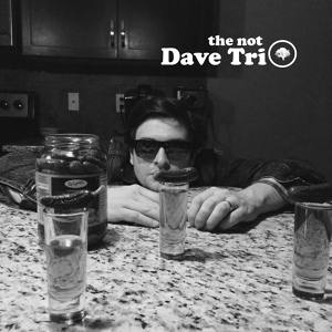 Обложка для The Not Dave Trio - Boys in the Trio