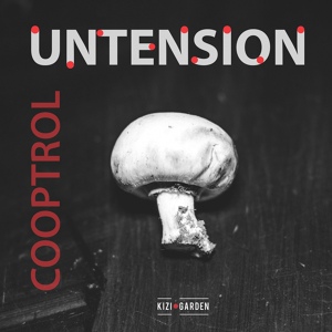 Обложка для Cooptrol - Untension