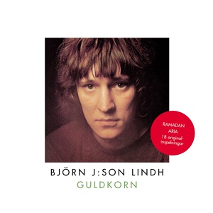 Обложка для Björn J:son Lindh - My Machine