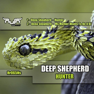 Обложка для Deep Shepherd - Hunter