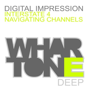 Обложка для Digital Impression - Navigating Channels