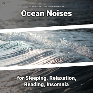 Обложка для Sea Waves Sounds, Ocean Sounds, Nature Sounds - Sounds to Go To Sleep