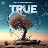 Обложка для Tim3bomb, Pokaraet - True