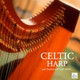 Обложка для Celtic Harp Soundscapes - Woman of Ireland