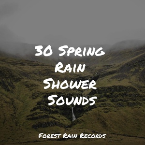 Обложка для Nursery Rhymes, Ambient Rain, Academia de Relaxamento e Meditação - Forest, Calm Wind, Birds, Insects