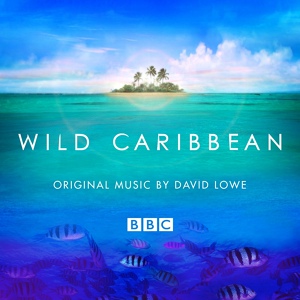 Обложка для Soundtrack Wild Caribbean - Flight Of The Scarlet Ibis