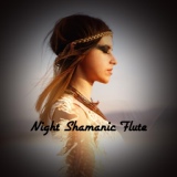 Обложка для Native American Music Consort - Shamanic Lullaby