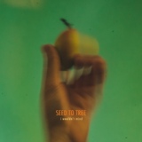 Обложка для Seed To Tree - I Wouldn't Mind