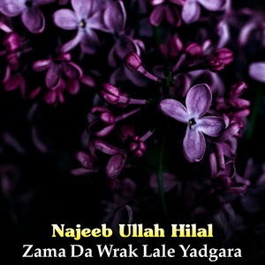 Обложка для Najeeb Ullah Hilal - Tagi Yam Janana Lag Woba Rakra