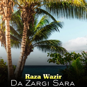 Обложка для Raza Wazir - Tabrik Tabrik Spina Pagre